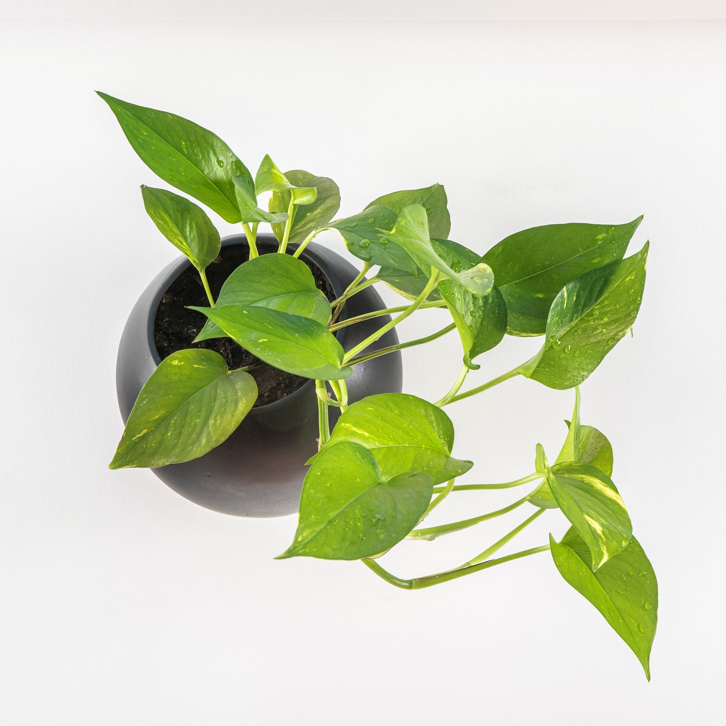 PODS Maceta Vertical Auto regante V2