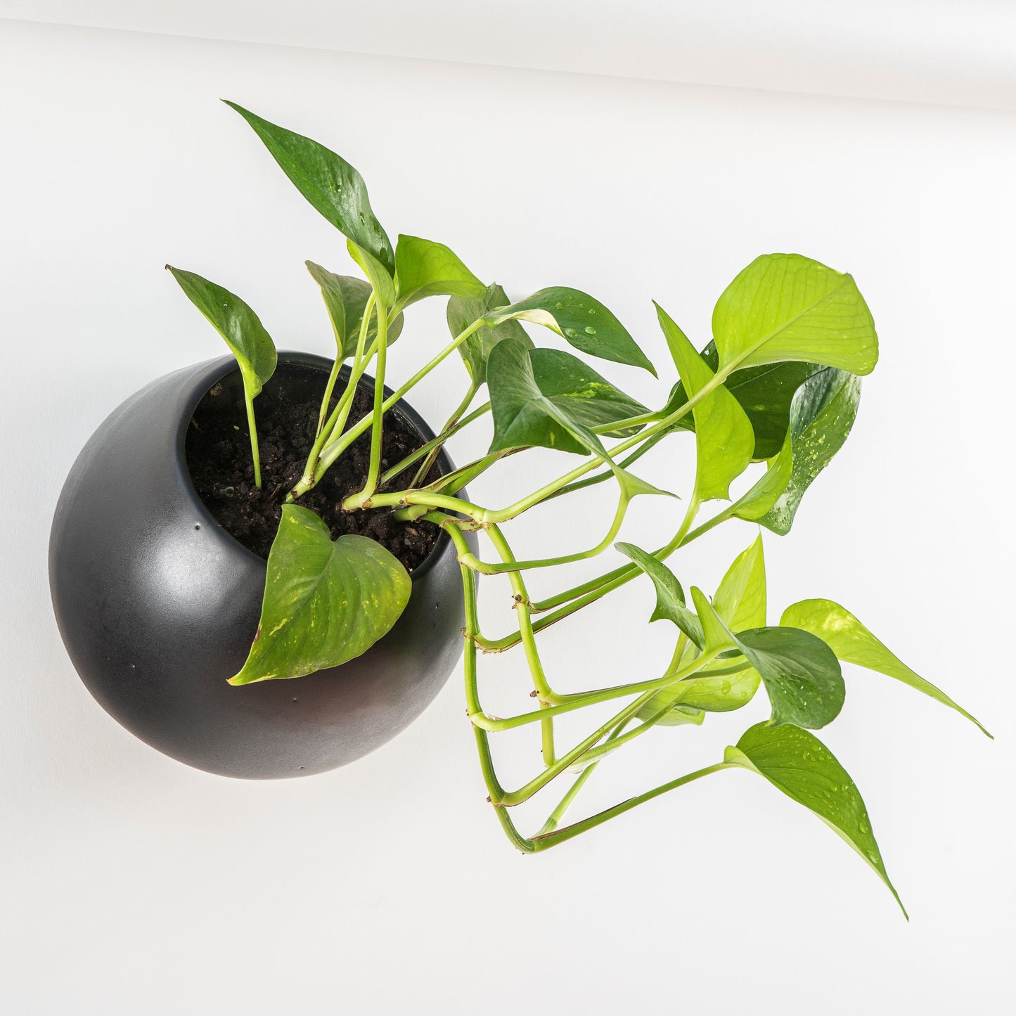 PODS Maceta Vertical Auto regante V2