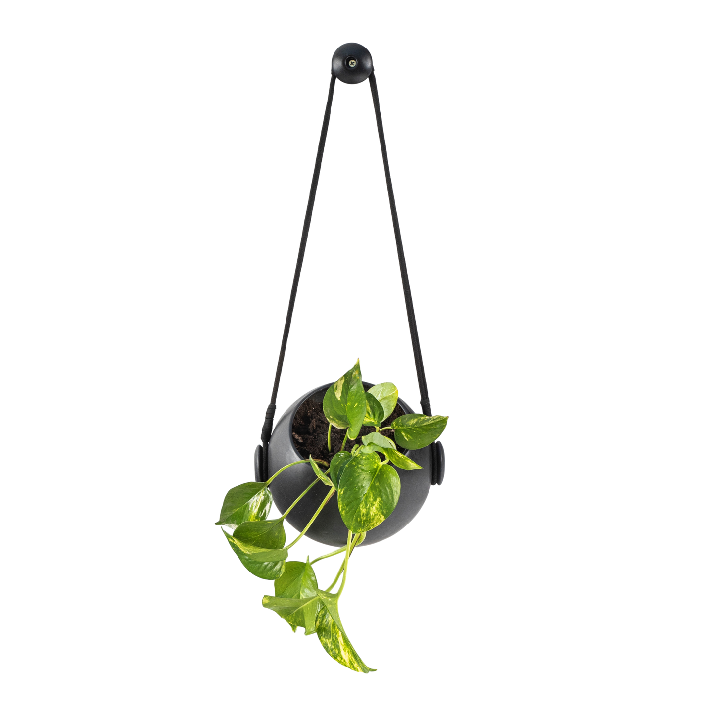 PODS Maceta vertical Auto regante V1