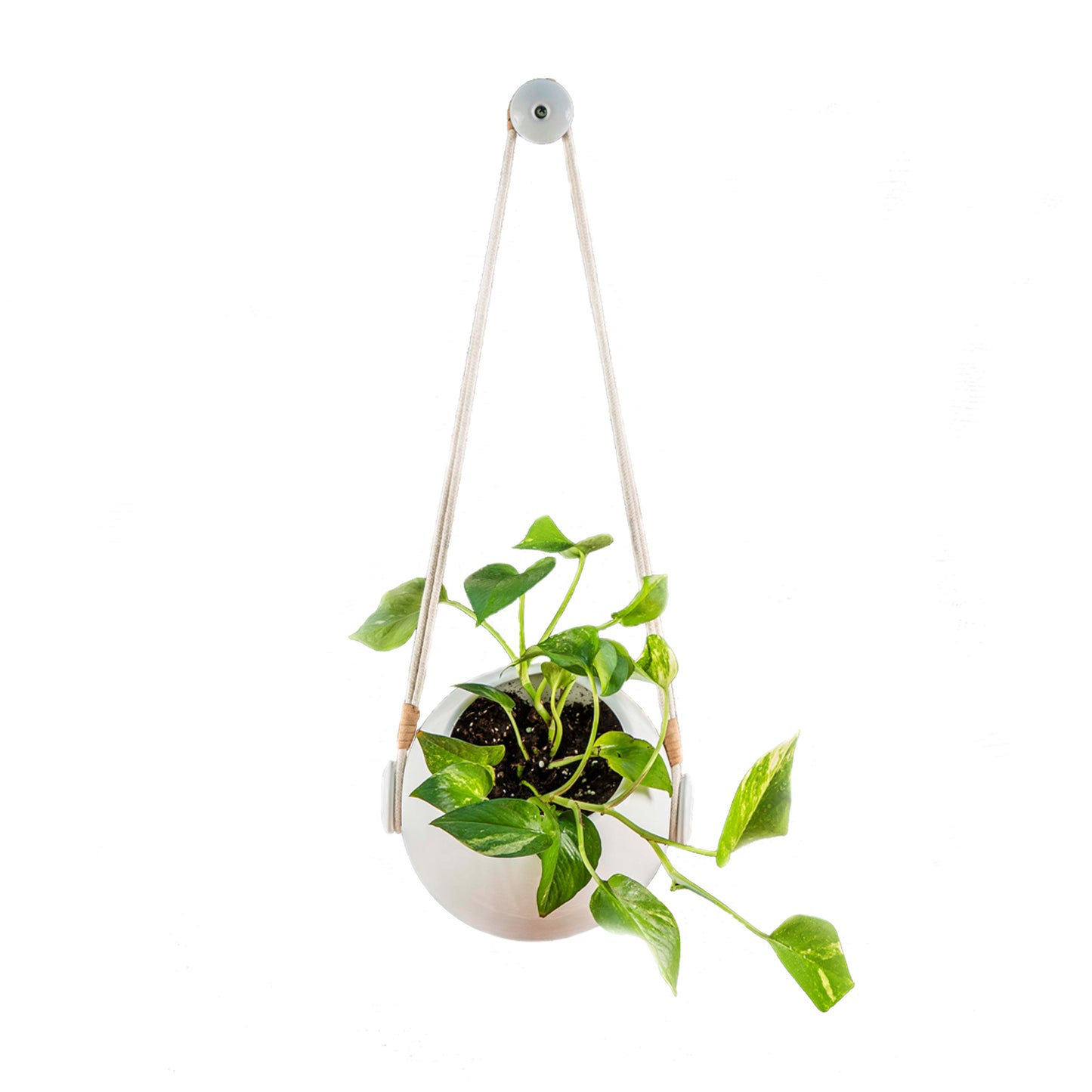 PODS Maceta vertical Auto regante V1