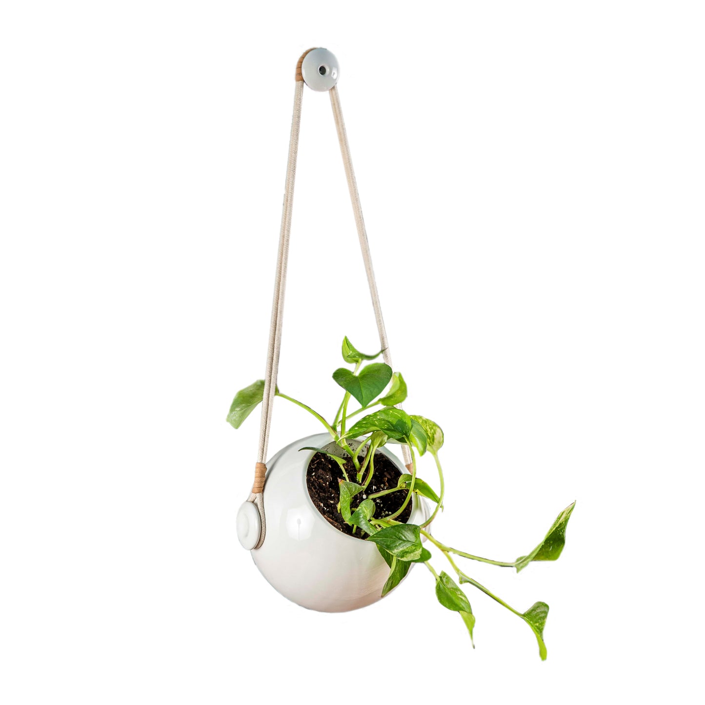 PODS Maceta vertical Auto regante V1